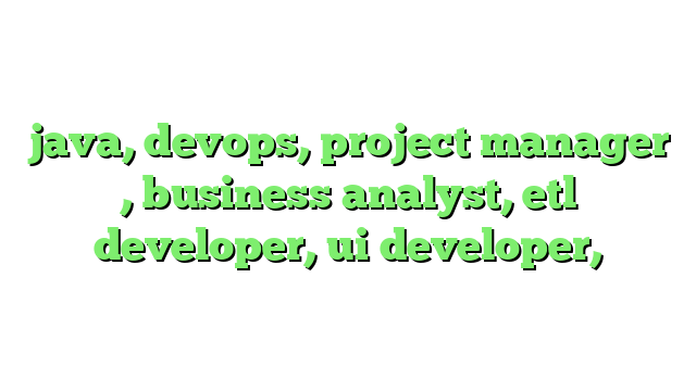 java, devops, project manager , business analyst, etl developer, ui developer,