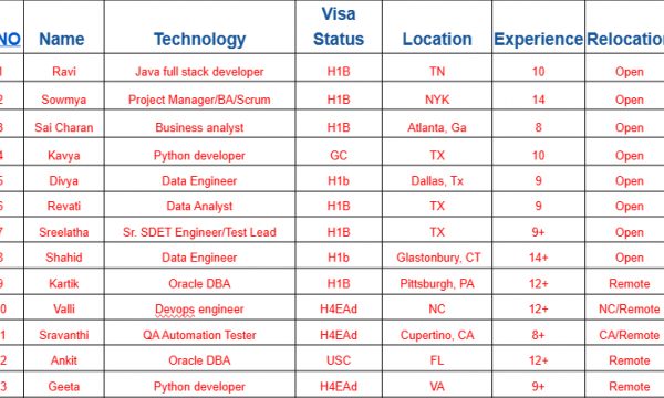 Java full stack developer, Python developer, Oracle DBA, Data Engineer, Business analyst HOTLIST Available Benchinfo For C2C Jobs New Candidate Available-Quick-hire-now