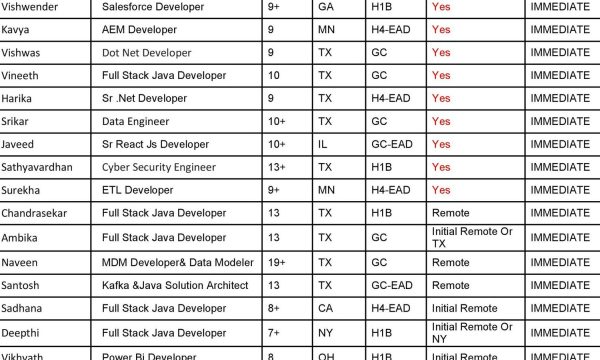 Java, Power BI Developer, DevOps Engineer, Salesforce, Dot NET Hotlist with bench info for daily corp to corp contract jobs-Quick-hire-now