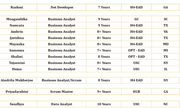 .Net Developer, Scrum Master, Java Developer, QA, UI, Business Analyst Hotlist For Corp To Corp Requirements Please Share C2C Jobs-Quick-hire-now