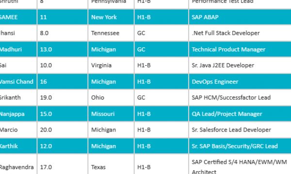 QA Tester, .Net Full Stack Developer, Sr. Java J2EE Developer, Sr. Salesforce Lead Developer hotlist with bench info for daily corp to corp contract jobs-Quick-hire-now