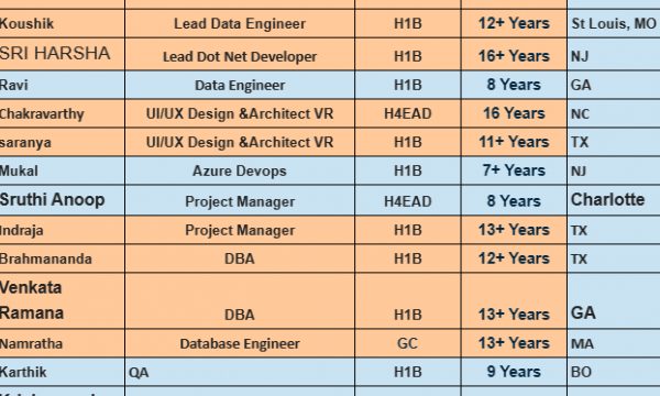 Salesforce Developer, Lead Dot Net Developer, Project Manager, QA, Java HOTLIST Available Benchinfo For C2C Jobs New Candidate Available-Quick-hire-now