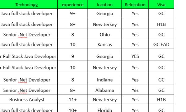 Business Analyst jobs hotlist Java full stack developer, Senior .Net Developer-Quick-hire-now