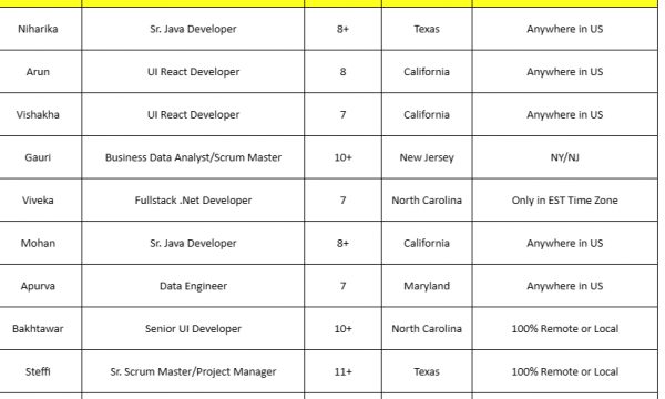 Business Analyst Jobs Hotlist Sr. Java Developer, Fullstack .Net Developer, DevOps Engineer, iOS Developer-Quick-hire-now