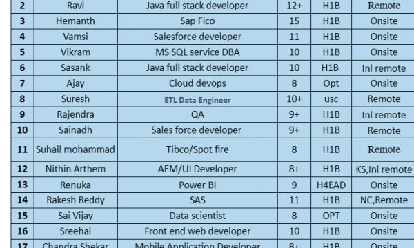QA Jobs hotlist Java full stack developer, Sales force developer, UI Developer,-Quick-hire-now