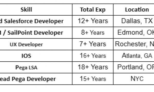 SailPoint Jobs Hotlist UX Developer, Lead Pega Developer, Lead Salesforce Developer-Quick-hire-now