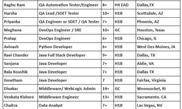 Salesforce Developer Jobs Hotlist QA Analyst, Java Developer, .Net Developer-Quick-hire-now