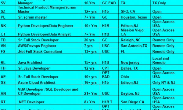 SALESFORCE JOBS HOTLIST Dot Net Developer, Sr. scrum master, Python Developer, Azure Data Engineer-Quick-hire-now