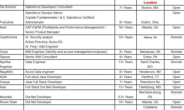 Salesforce Jobs Hotlist Java Full Stack Developer, Dot Net Developer, Oracle DBA, Product Business Analyst-Quick-hire-now