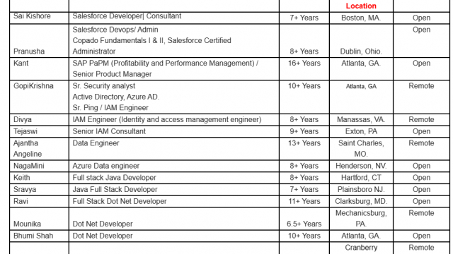 Salesforce Jobs Hotlist Java Full Stack Developer, Dot Net Developer, Oracle DBA, Product Business Analyst-Quick-hire-now