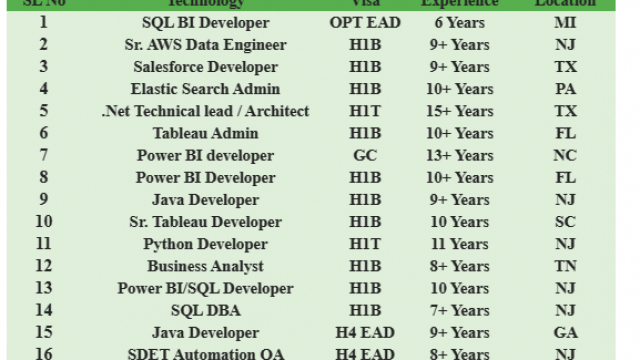 SQL BI Developer, Salesforce Developer, Java Developer, SDET Automation QA HOTLIST Available Benchinfo For C2C Jobs New Candidate Available-Quick-hire-now