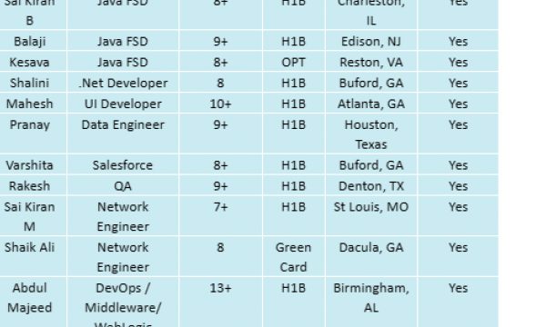 Java FSD Jobs Hotlist .Net Developer, UI Developer, Salesforce, QA, Network Engineer-Quick-hire-now