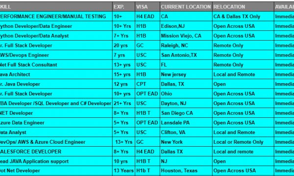 .Net Full Stack Jobs Hotlist, Sr. Java Developer, Data Analyst, Senior Java Developer, SALESFORCE DEVELOPER-Quick-hire-now