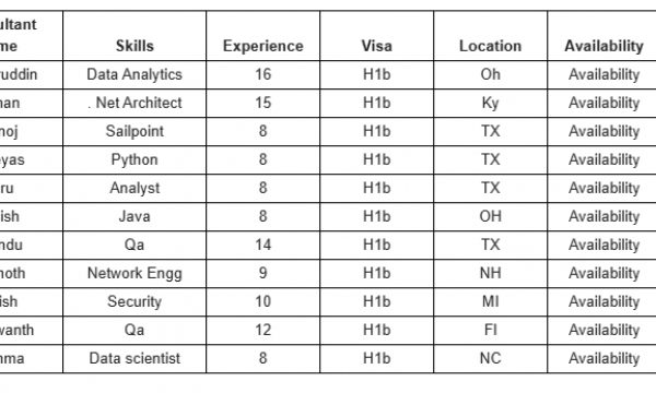 QA Jobs Hotlist Data Analytics, . Net Architect, SailPoint, Python, Java-Quick-hire-now