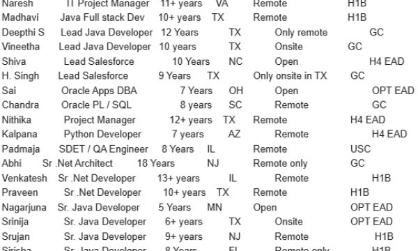 Salesforce Jobs Hotlist Lead Java Developer, UI Angular, Scrum Master-Quick-hire-now