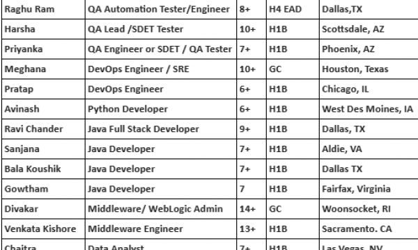 Salesforce Jobs Hotlist Python Developer, QA Automation Tester/Engineer, DevOps Engineer, Java Developer, .Net Developer-Quick-hire-now