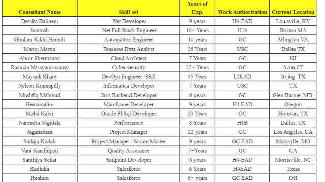 Salesforce Jobs Hotlist, Sailpoint Developer, .Net Developer, Business Data Analyst, Project Manager-Quick-hire-now