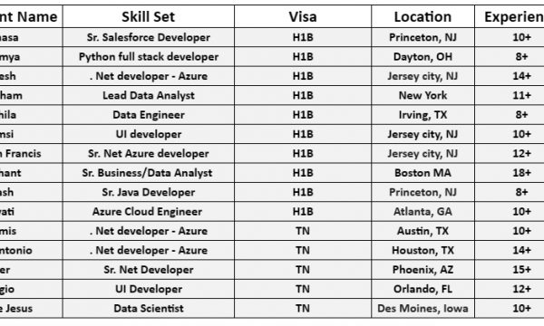 Sr. Salesforce Jobs Hotlist, . Net developer, Python full stack developer, UI developer, Sr. Business/Data Analyst-Quick-hire-now