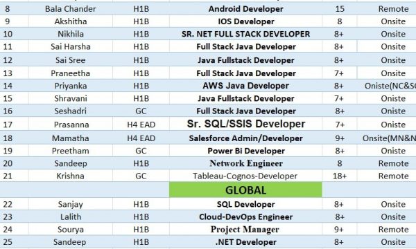 Updated C2C consultants of Hotlist-Quick-hire-now