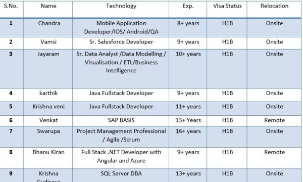 Data Stack Consultants C2C Jobs hotlist Available in February 2024-Quick-hire-now