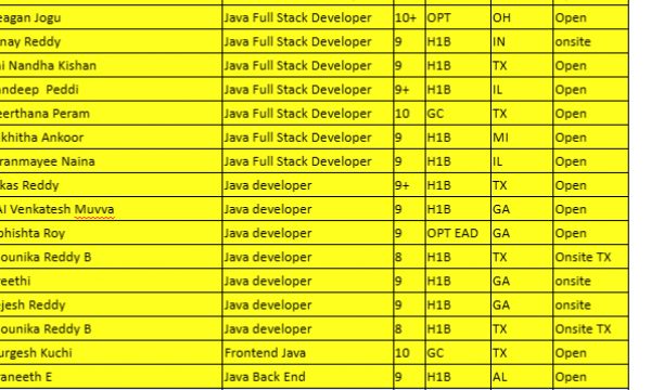 Dot NET Jobs HOTLIST, Java Full Stack Developer, Data Analyst, Salesforce Developer-Quick-hire-now