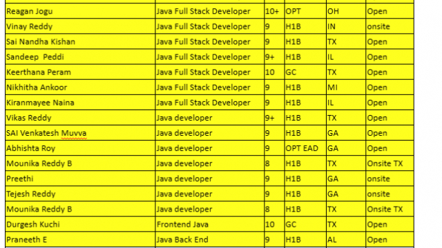 Dot NET Jobs HOTLIST, Java Full Stack Developer, Data Analyst, Salesforce Developer-Quick-hire-now