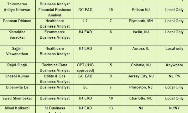 Healthcare Business Analyst Jobs Hotlist, Java Developer, Sr Scrum Master, Salesforce Developer-Quick-hire-now