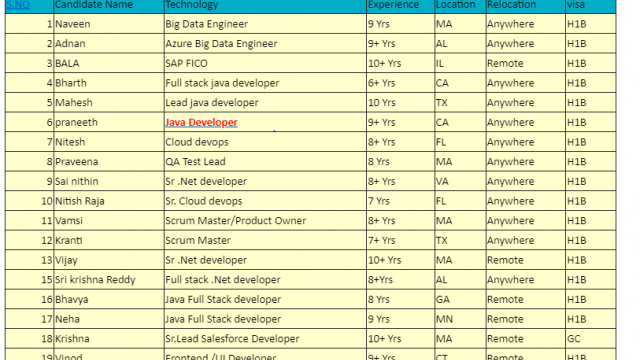 Java Developer Jobs Hotlist, Cloud devops, QA Test Lead, Sr.Lead Salesforce Developer, network engineer-Quick-hire-now