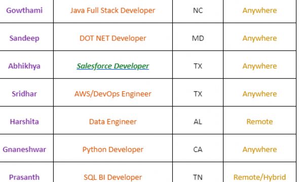 NET Developer Salesforce Jobs Hotlist, DOT NET Developer, Data Engineer, SQL BI Developer, Python Developer-Quick-hire-now