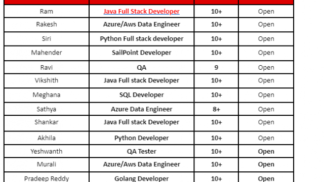 SailPoint Developer Jobs Hotlist, Python Full stack developer, SQL Developer, QA Tester-Quick-hire-now