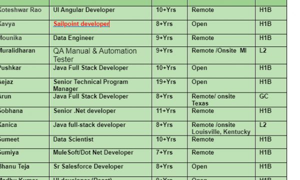 SailPoint developer Jobs Hotlist, UI Angular Developer, Java Full Stack Developer, Sr Salesforce Developer-Quick-hire-now