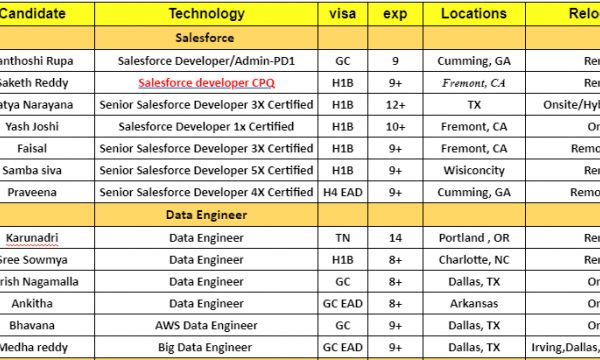 Salesforce developer Jobs Hotlist, Data Engineer, Java Developer, QA, Python Developer, SDET-Quick-hire-now