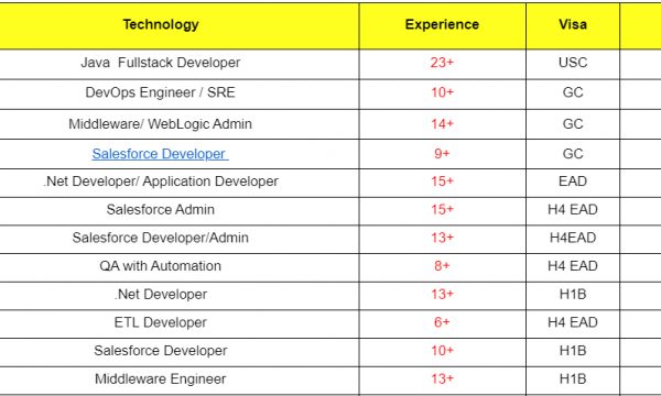 Salesforce Developer Jobs Hotlist, Java Fullstack Developer, DevOps Engineer / SRE, .Net Developer-Quick-hire-now