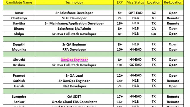 DevOps Engineer Jobs Hotlist, Sr Salesforce Developer, Sr UI Developer, .Net Developer, QA SDET-Quick-hire-now