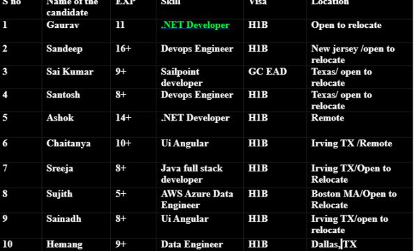 .NET Developer Jobs Hotlist, Devops Engineer, Sailpoint developer, Ui Angular, iOS Developer-Quick-hire-now