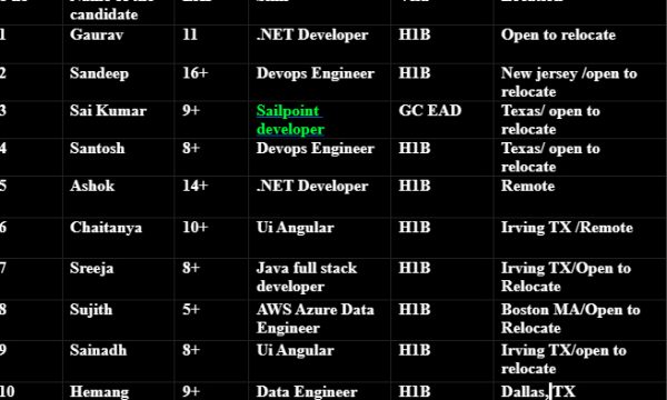 SailPoint developer Jobs HOTLIST, .NET Developer, Ui Angular, iOS Developer-Quick-hire-now