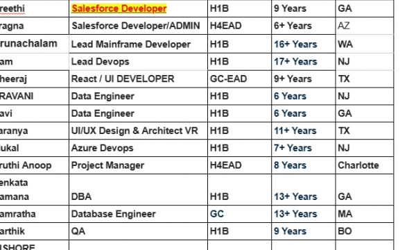 Salesforce Developer Jobs C2C Hotlist, Data Engineer, Project Manager, DBA, QA, Network Engineer Quick overview-Quick-hire-now