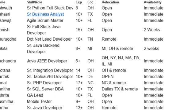 Sr Business Analyst jobs C2C hotlist, Dot Net Lead Developer, Sr Python Full Stack Dev, Java J2EE Developer quick overview-Quick-hire-now