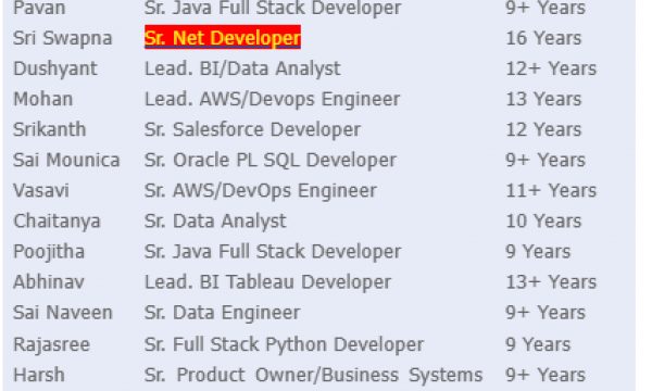 Sr. Net Developer Jobs Hotlist, Sr. Java Full Stack Developer, Sr. Oracle PL SQL Developer, Sr. Data Engineer-Quick-hire-now