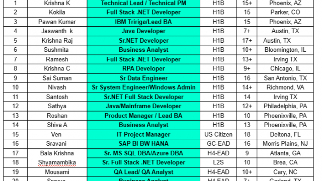 Business Analyst Jobs Hotlist, IT Project Manager, Sr.NET Developer, Java Developer-Quick-hire-now