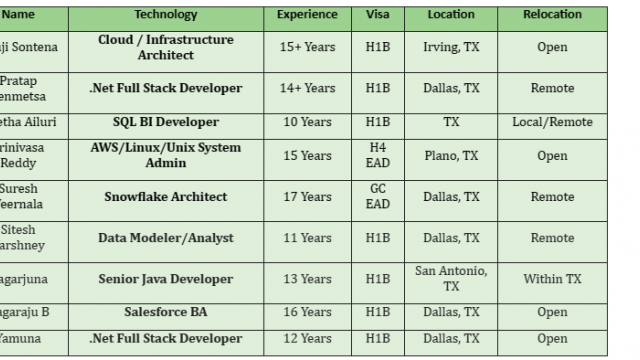 Salesforce BA Jobs Hotlist, .Net Full Stack Developer, Snowflake Architect, SQL BI Developer-Quick-hire-now