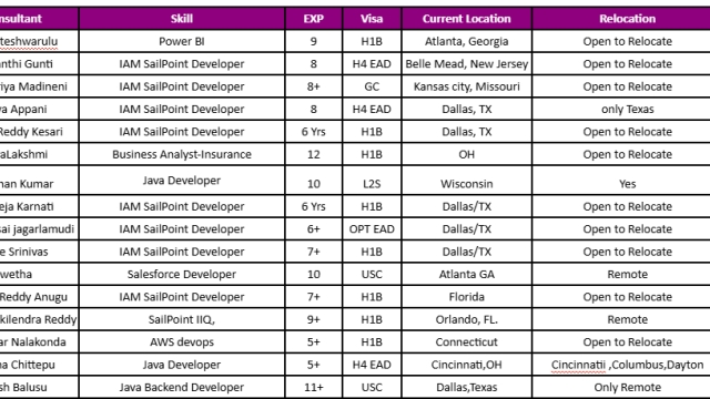 Business Analyst Jobs Hotlist, Salesforce Developer, IAM SailPoint Developer, Java Developer-Quick-hire-now