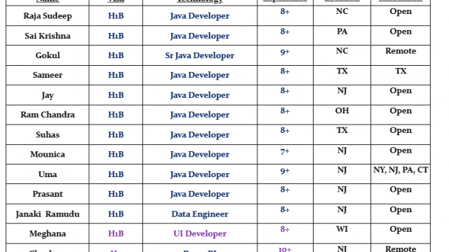 Java Developer Jobs Hotlist, UI Developer, Power BI, Lead.NET Developer, DevOps Engineer-Quick-hire-now