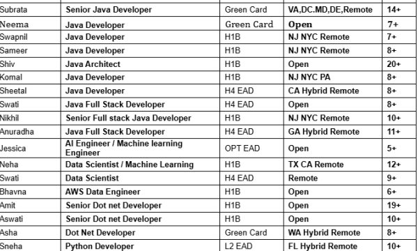 Java Jobs Hotlist, Dot Net Developer, Python Developer, Salesforce Developer, Business Analyst-Quick-hire-now