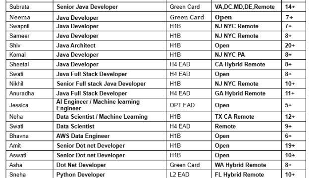 Java Jobs Hotlist, Dot Net Developer, Python Developer, Salesforce Developer, Business Analyst-Quick-hire-now