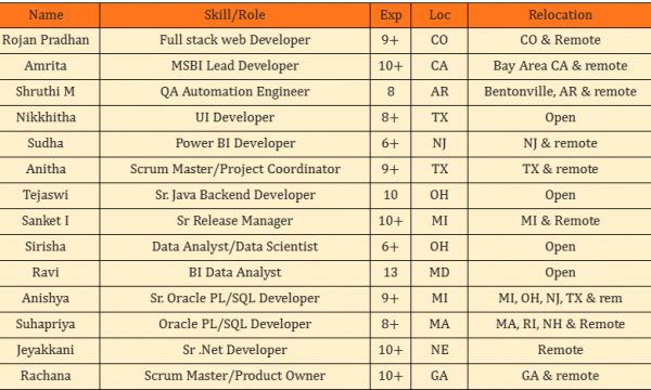 Salesforce Business Analyst jobs hotlist, .Net Lead Developer, BI Data Analyst, Sr. Java Backend Developer-Quick-hire-now