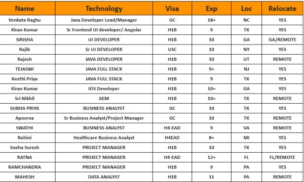 Sr Business Analyst Jobs Hotlist, .Net Developer, Java Developer, IOS Developer-Quick-hire-now