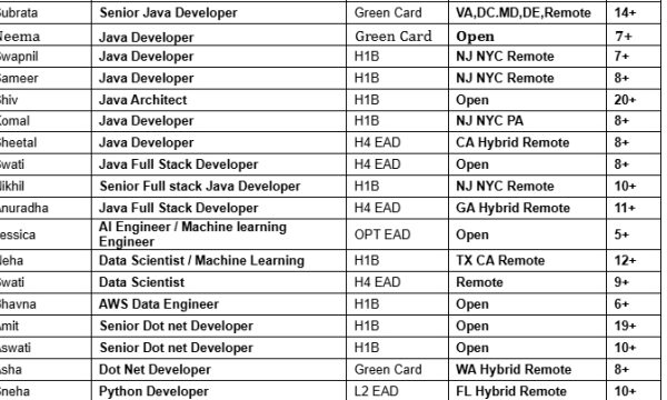 Dot Net Developer Jobs Hotlist, Salesforce Developer, Python Developer, Java Developer, Business Analyst-Quick-hire-now