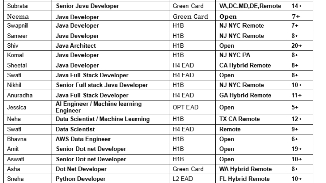 Dot Net Developer Jobs Hotlist, Salesforce Developer, Python Developer, Java Developer, Business Analyst-Quick-hire-now