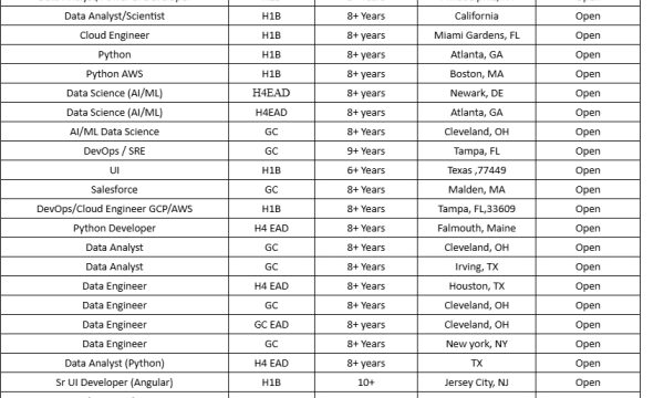 Salesforce C2C Jobs Hotlist, Power BI Developer, Python AWS, Data Analyst, Python Developer-Quick-hire-now